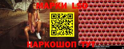 мдпв Бийск