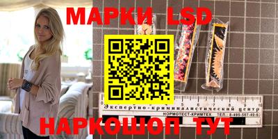 мдпв Бийск